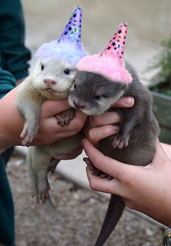 HAPPY-BIRTHDAY.jpg