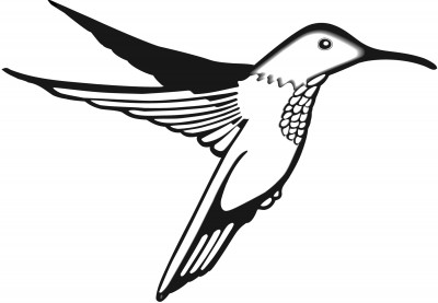 Future-Hummingbird.jpg