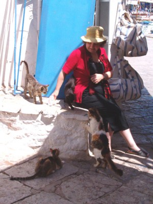 Dolores feeding cats on Hydra
