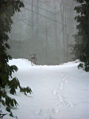 DSCN1323.JPG