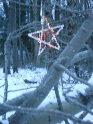 DSCN1432.JPG