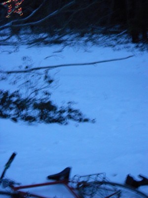 DSCN1480.JPG