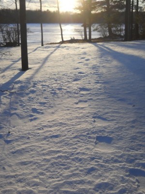 DSCN1489_2.JPG