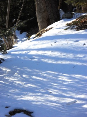 DSCN1556.JPG
