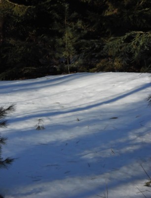 DSCN1548_2.JPG