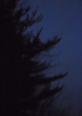 DSCN1637.JPG