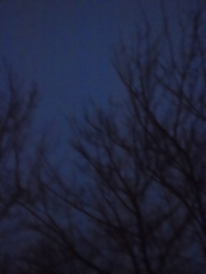 DSCN1644.JPG