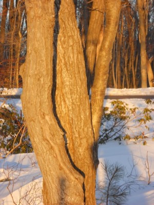 DSCN1247.JPG