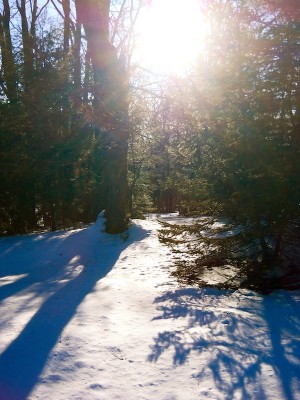 .. my Sun.. and my Light.. x