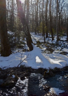 DSCN1519_2.JPG