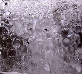 Ice violets, Eija Arjatsalo.jpg