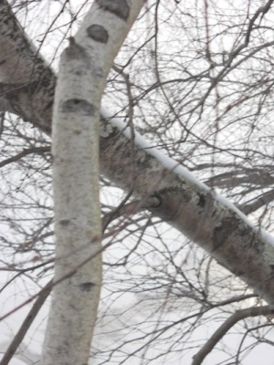 DSCN2044.JPG