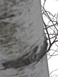 DSCN2038.JPG