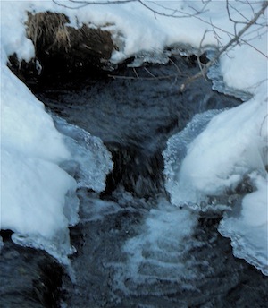 DSCN1504.JPG