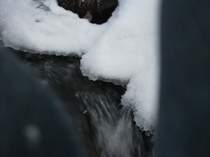 DSCN2121.JPG