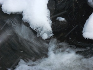 DSCN2123.JPG