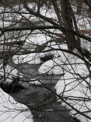 DSCN2076.JPG