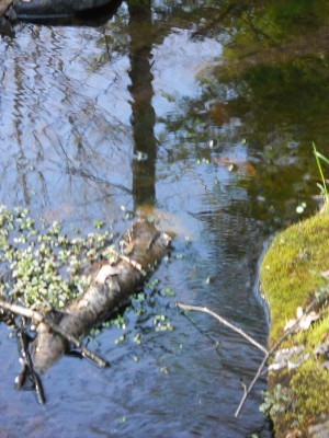 DSCN3094.JPG