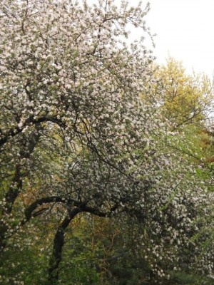 DSCN3231.JPG