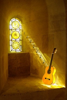 calm, alone, the cedar guitar tuned into a sunlight drone....jpg