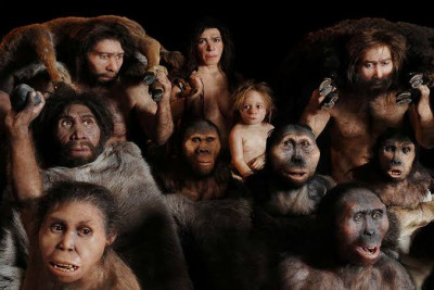 Not evolution but 'Mitigated Evolution' !