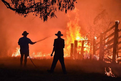 The bushfires