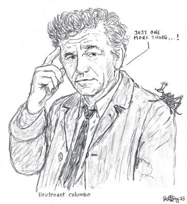 254.jpg