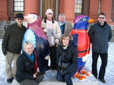 with the penguins